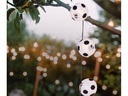 Näve Lichterkette LED Solar Fussball 20 LEDs, 580 cm,