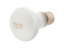 Repti Planet Terrarienlampe Daylight Frosted 50 W