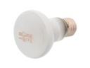 Repti Planet Terrarienlampe Daylight Frosted 25 W