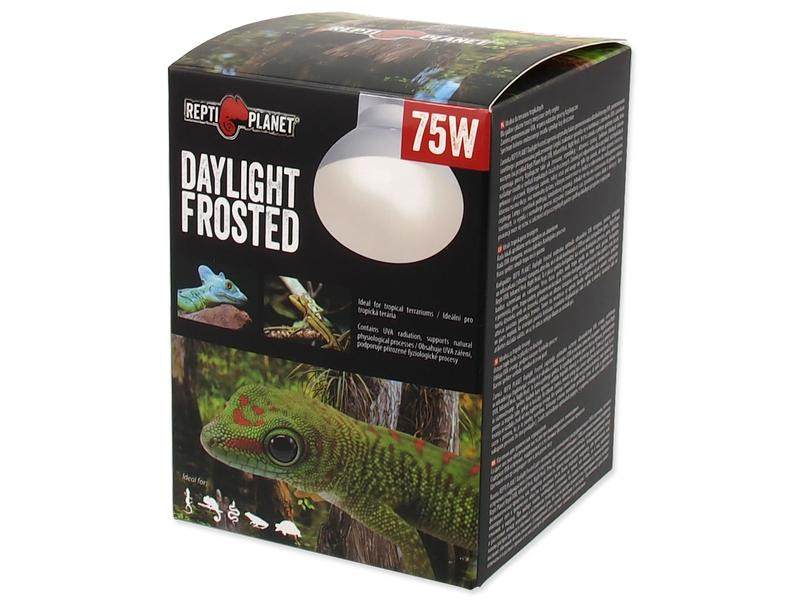 Repti Planet Terrarienlampe Daylight Frosted 75 W
