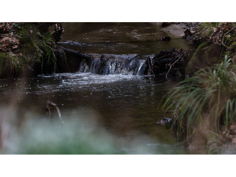 Sigma Festbrennweite 500mm F/5.6 DG DN OS Sports – Sony E-Mount