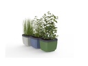 Gusta Garden HERBS BUDDY Kräutertopf 3er Set Weiss