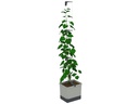 Gusta Garden CURT CUCUMBER Gurkentopf Grau