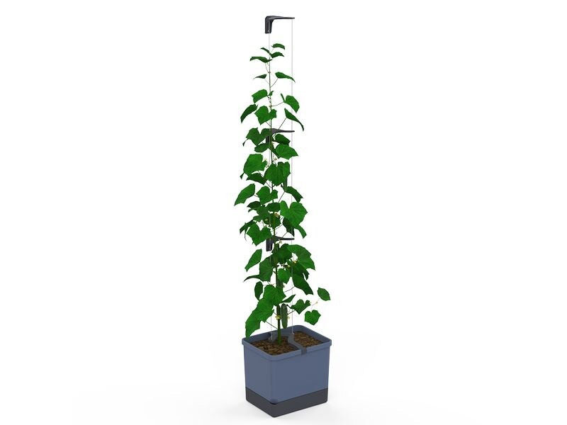 Gusta Garden CURT CUCUMBER Gurkentopf Blau
