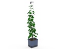 Gusta Garden CURT CUCUMBER Gurkentopf Blau
