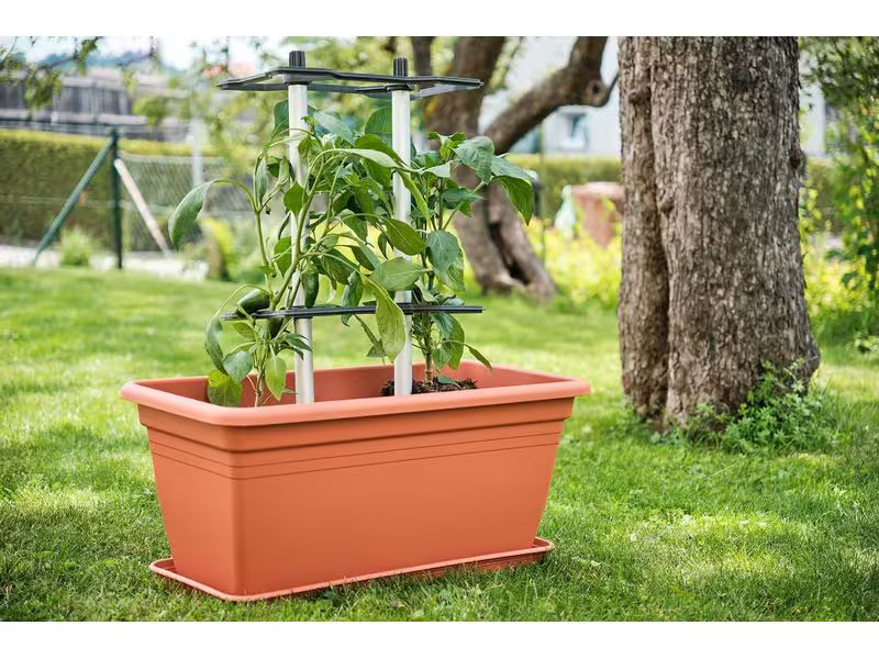 Gusta Garden CHILI BUDDY Rankhilfe für Chilis &amp; Paprika im 3er Set Silber