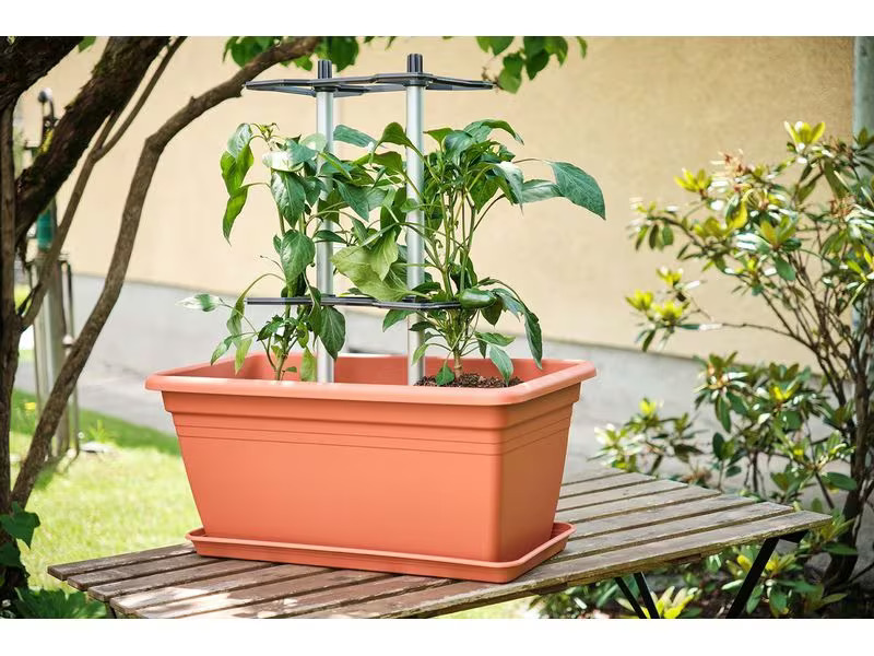 Gusta Garden CHILI BUDDY Rankhilfe für Chilis &amp; Paprika im 3er Set Silber