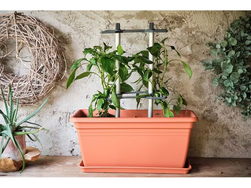 Gusta Garden CHILI BUDDY Rankhilfe für Chilis &amp; Paprika Silber