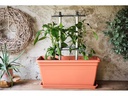 Gusta Garden CHILI BUDDY Rankhilfe für Chilis &amp; Paprika Silber