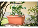 Gusta Garden CHILI BUDDY Rankhilfe für Chilis &amp; Paprika Silber