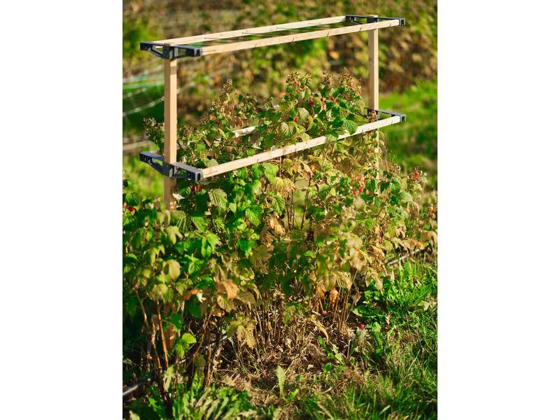 Gusta Garden BERRY BUDDY modulare Beerenrankhilfe Braun
