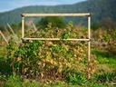 Gusta Garden BERRY BUDDY modulare Beerenrankhilfe Braun