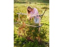 Gusta Garden BERRY BUDDY modulare Beerenrankhilfe Braun