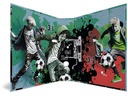 HERMA Ordner Street Soccer A4, 7 cm