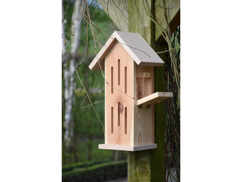 LUXUS-INSEKTENHOTELS Schmetterlingshaus Sonnenfalter Natur, 23 x 14 x 38 cm