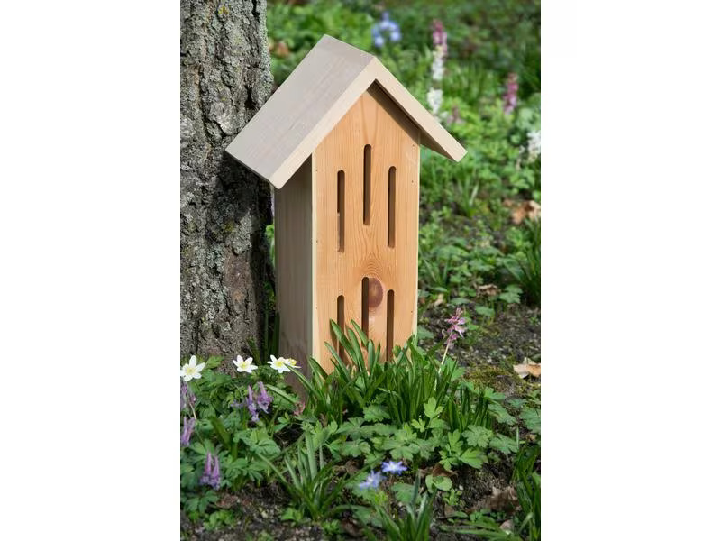 LUXUS-INSEKTENHOTELS Schmetterlingshaus Sonnenfalter Natur, 23 x 14 x 38 cm