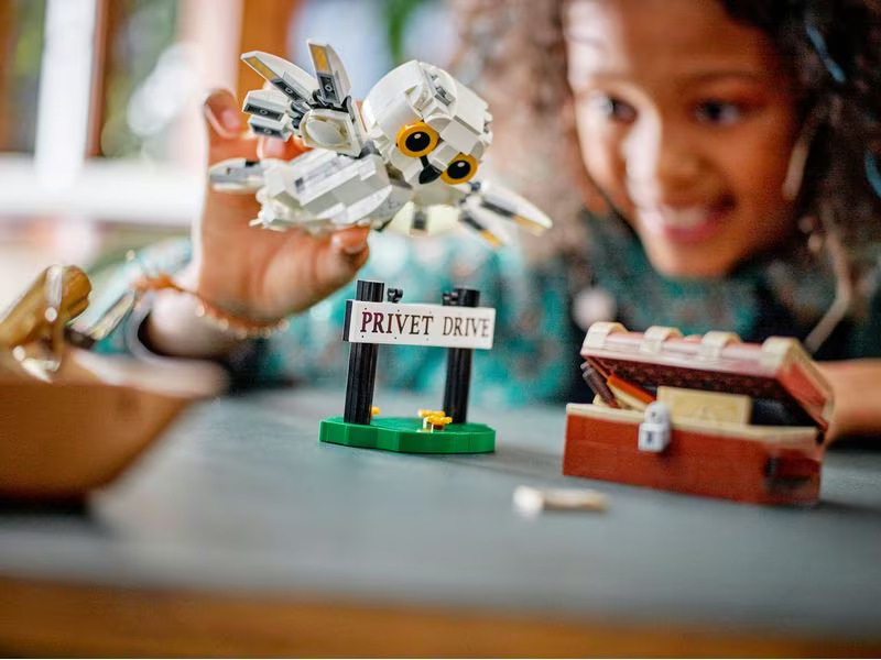 LEGO® Harry Potter Hedwig im Ligusterweg 4 76425