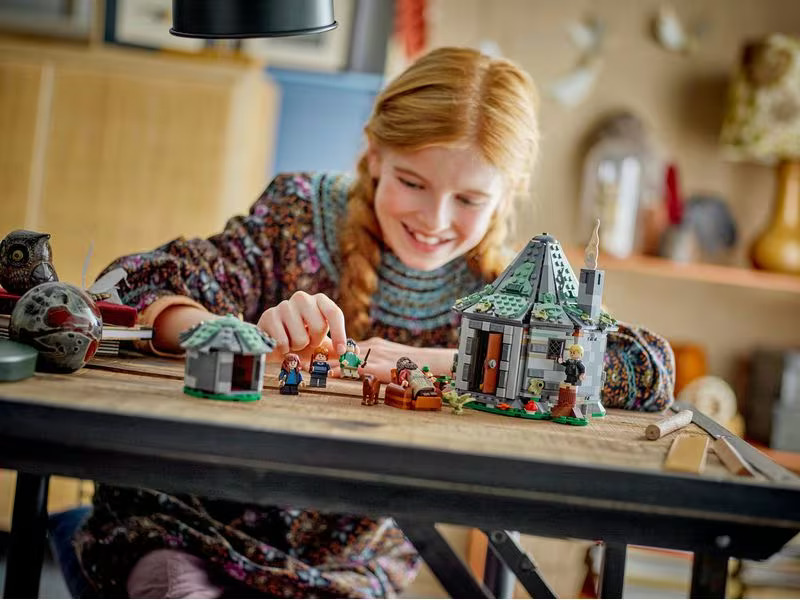 LEGO® Harry Potter Hagrids Hütte: Ein unerwarteter Besuch 76428