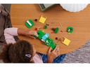 LEGO® Animal Crossing Mimmis Outdoor-Spass 77047