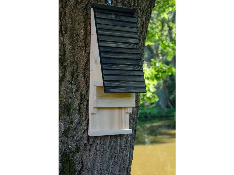 dobar green label Fledermauskasten «Pteropodidae» 19.5 x 14 x 53.5 cm, Holz