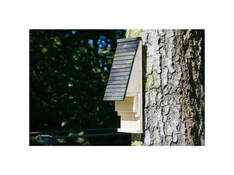 dobar green label Fledermauskasten «Pteropodidae» 19.5 x 14 x 53.5 cm, Holz