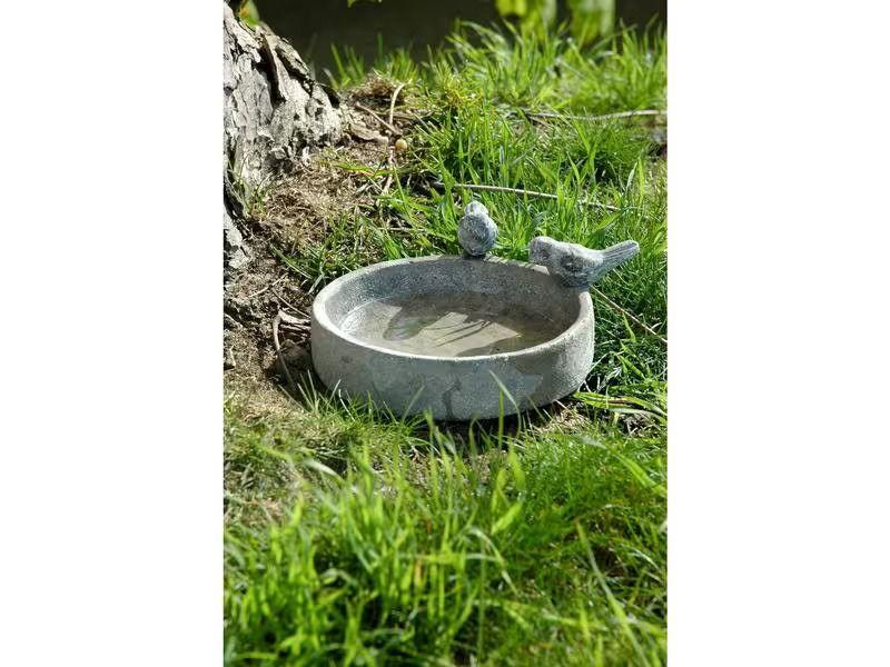 dobar Vogeltränke Pool-Oase, 18 x 18 x 4.5 cm, Zement