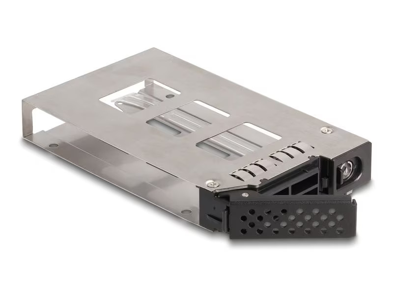 Delock Wechselrahmen U.2 NVMe 2.5