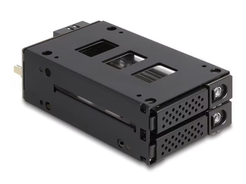 Delock Wechselrahmen U.2 NVMe 2.5