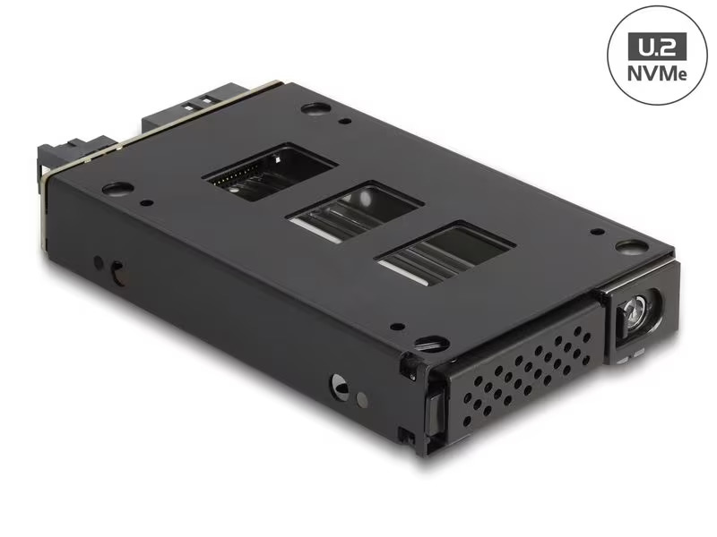Delock Wechselrahmen U.2 NVMe 2.5