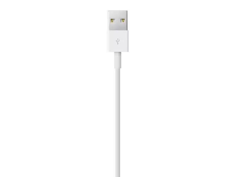 Apple USB 2.0-Kabel USB A - Lightning 1 m