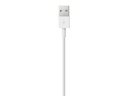 Apple USB 2.0-Kabel USB A - Lightning 1 m
