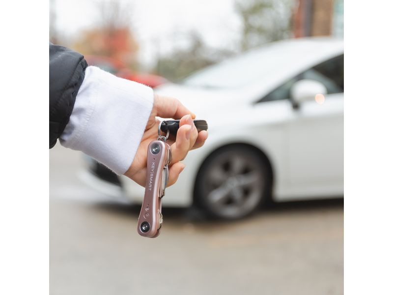 Keysmart Schlüsselhalter iPro, Rosa
