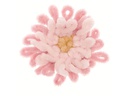 Rico Design Wolle Ricorumi Nilli Nilli Lachs