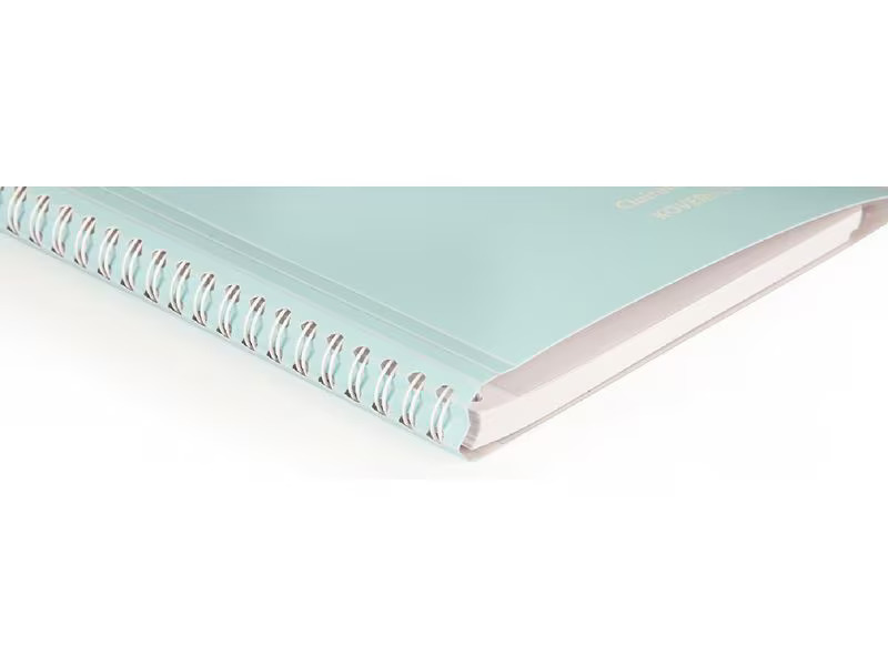 Clairefontaine Notizbuch Blush A5, liniert, Koralle