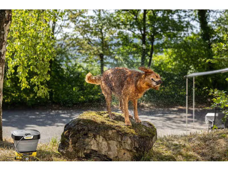 Kärcher Waschbürste Haustier