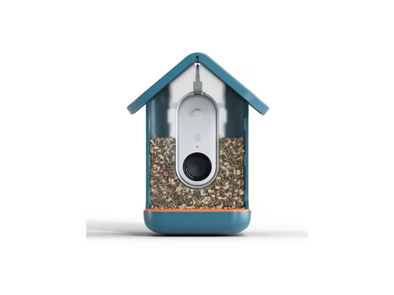 Birdbuddy Futterstelle Bird Buddy mit Kamera