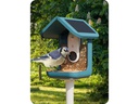 Birdbuddy Futterstelle Bird Buddy mit Kamera