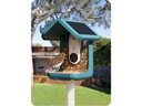 Birdbuddy Futterstelle Bird Buddy mit Kamera