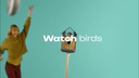 Birdbuddy Futterstelle Bird Buddy mit Kamera