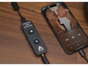 Apogee DAC Groove 40th Anniversary Edition
