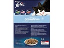 Felix Trockenfutter Sensations Senior, 1 kg