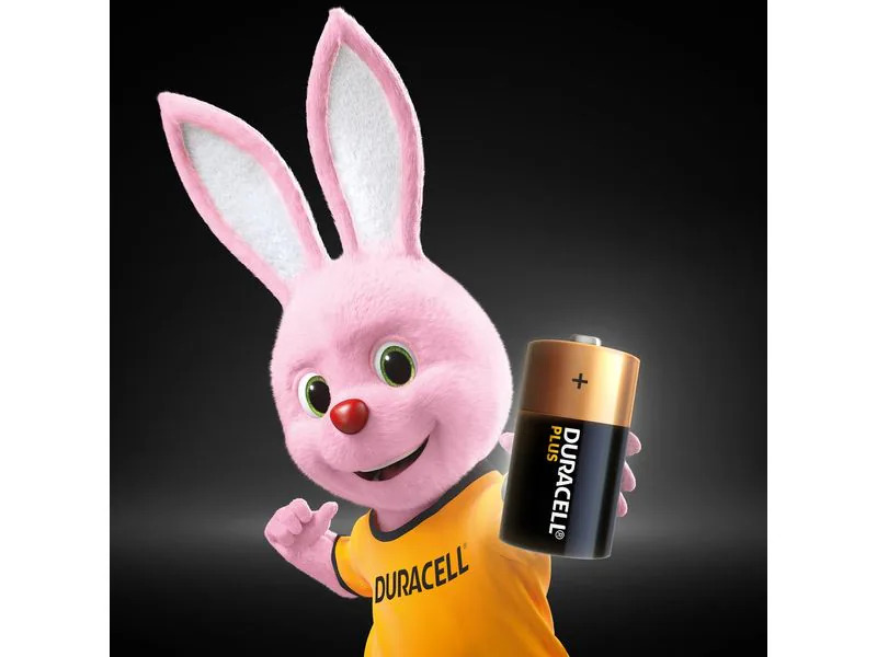 Duracell Batterie C Plus Power 2 Stück