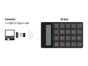 Delock Ziffernblock 2.4 GHz