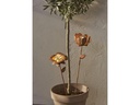 Star Trading Gartenlicht Solar Oxida, 51 cm, Rost
