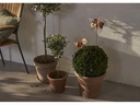 Star Trading Gartenlicht Solar Oxida, 51 cm, Rost