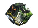 Shashibo Shashibo Cube Forest