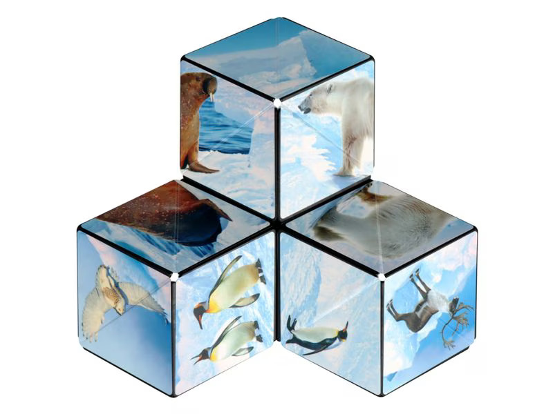 Shashibo Shashibo Cube Arctic