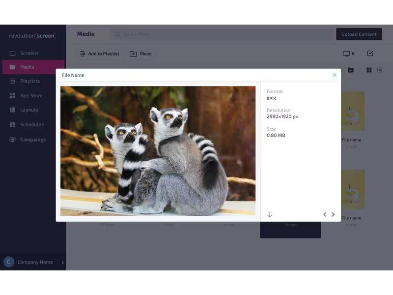 revolutionSCREEN Digital Signage Software revolutionScreen Enterprise 1 Jahr
