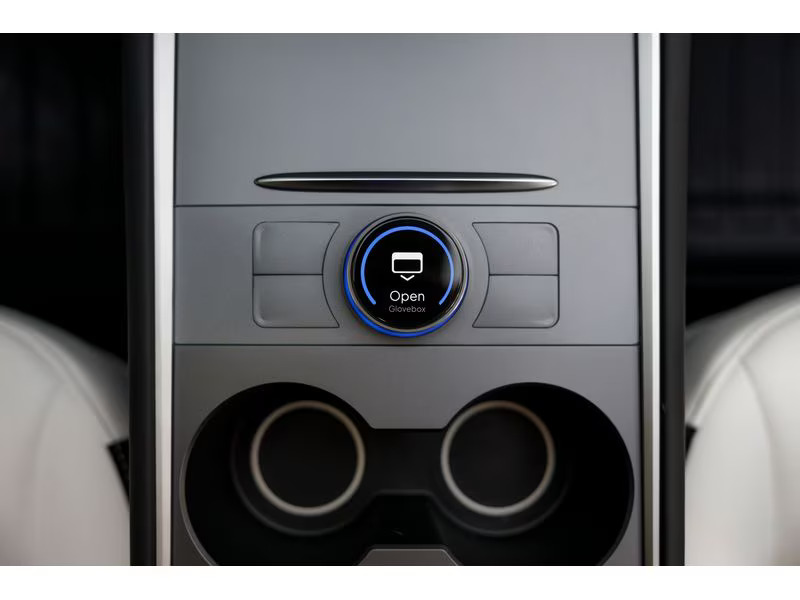 Enhance S3XY Knob für Tesla