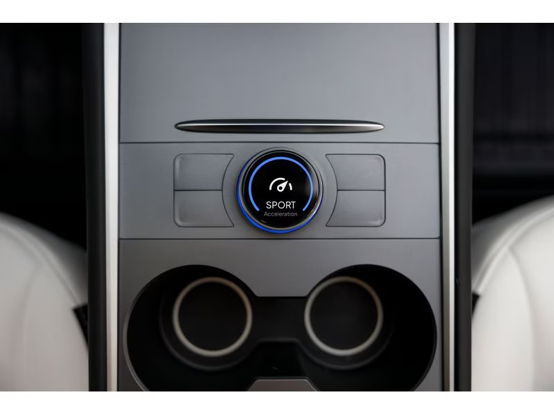 Enhance S3XY Knob für Tesla